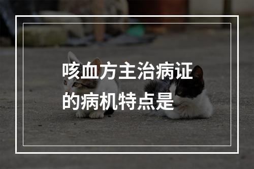 咳血方主治病证的病机特点是