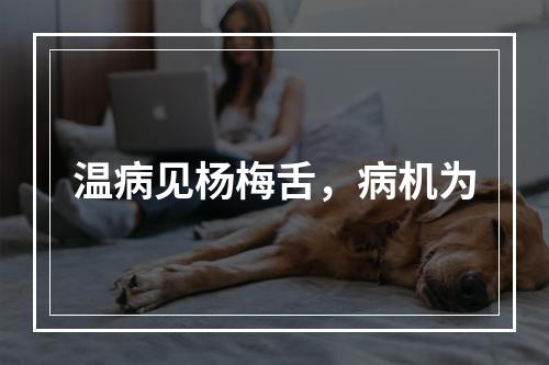 温病见杨梅舌，病机为