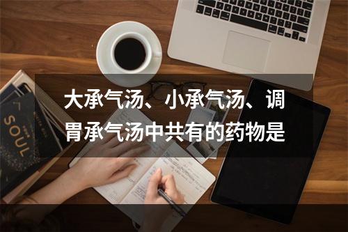 大承气汤、小承气汤、调胃承气汤中共有的药物是