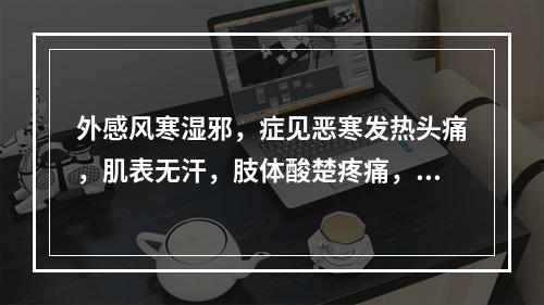 外感风寒湿邪，症见恶寒发热头痛，肌表无汗，肢体酸楚疼痛，口苦