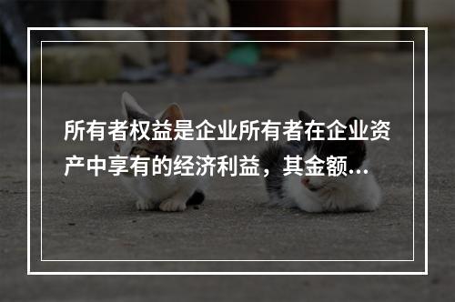 所有者权益是企业所有者在企业资产中享有的经济利益，其金额为企