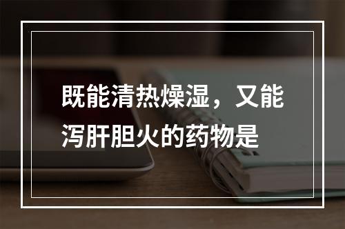 既能清热燥湿，又能泻肝胆火的药物是