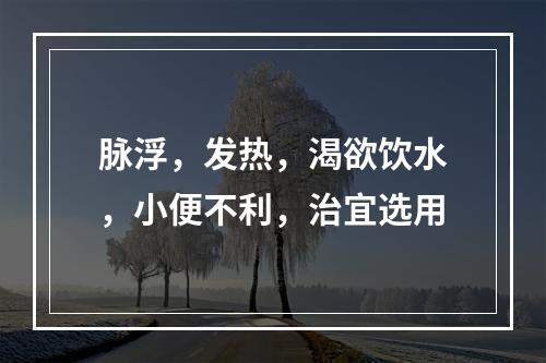 脉浮，发热，渴欲饮水，小便不利，治宜选用