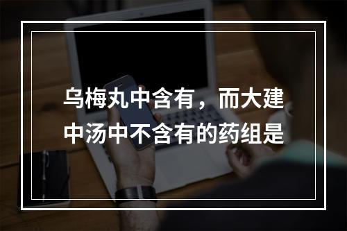 乌梅丸中含有，而大建中汤中不含有的药组是