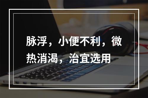 脉浮，小便不利，微热消渴，治宜选用