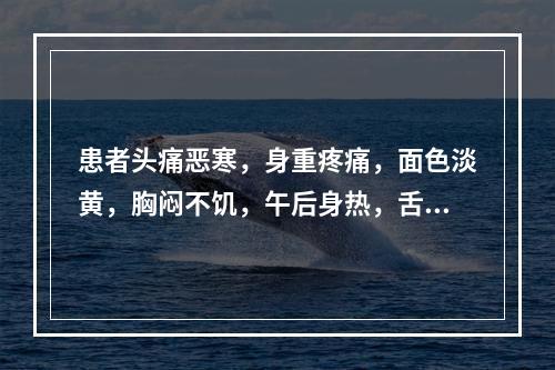 患者头痛恶寒，身重疼痛，面色淡黄，胸闷不饥，午后身热，舌白不