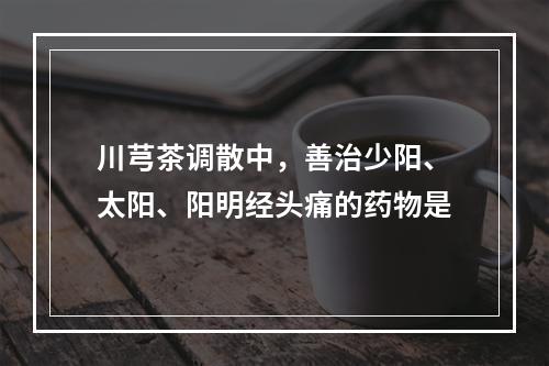 川芎茶调散中，善治少阳、太阳、阳明经头痛的药物是