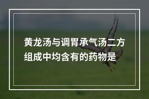 黄龙汤与调胃承气汤二方组成中均含有的药物是