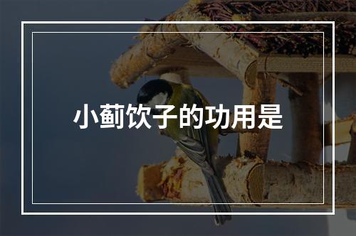 小蓟饮子的功用是