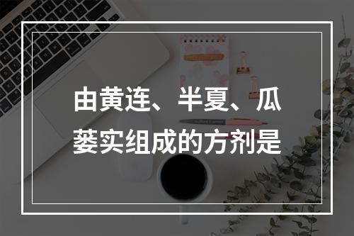 由黄连、半夏、瓜蒌实组成的方剂是