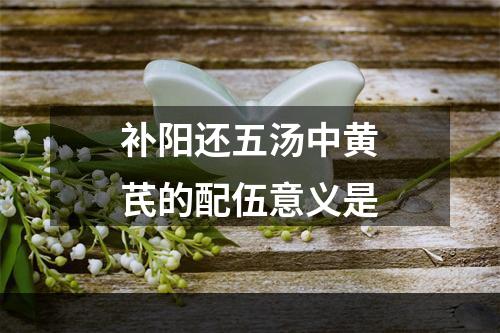 补阳还五汤中黄芪的配伍意义是