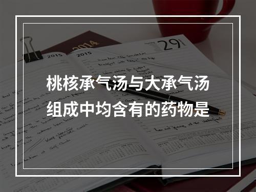 桃核承气汤与大承气汤组成中均含有的药物是