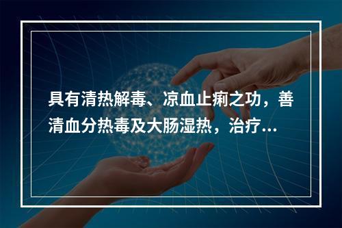 具有清热解毒、凉血止痢之功，善清血分热毒及大肠湿热，治疗热毒