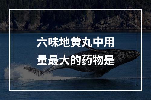 六味地黄丸中用量最大的药物是