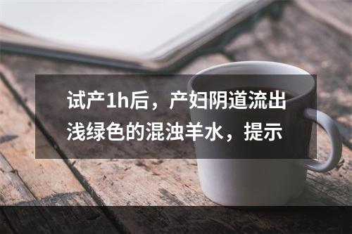 试产1h后，产妇阴道流出浅绿色的混浊羊水，提示