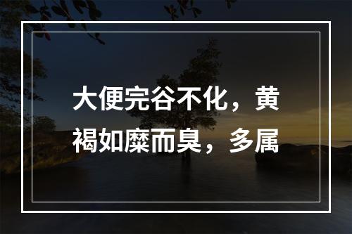 大便完谷不化，黄褐如糜而臭，多属