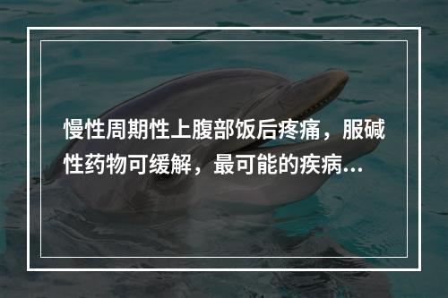 慢性周期性上腹部饭后疼痛，服碱性药物可缓解，最可能的疾病是