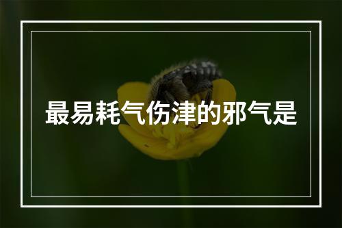 最易耗气伤津的邪气是