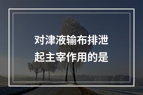 对津液输布排泄起主宰作用的是