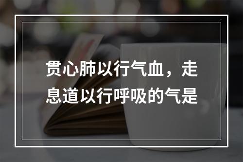 贯心肺以行气血，走息道以行呼吸的气是