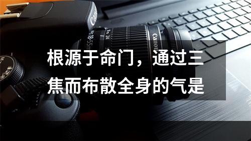 根源于命门，通过三焦而布散全身的气是