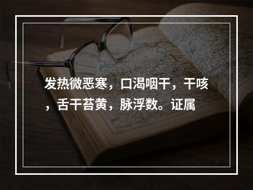 发热微恶寒，口渴咽干，干咳，舌干苔黄，脉浮数。证属