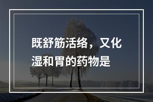 既舒筋活络，又化湿和胃的药物是