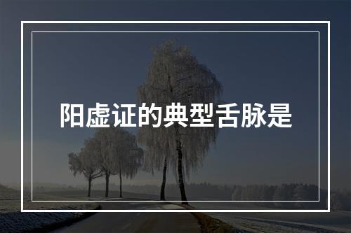 阳虚证的典型舌脉是