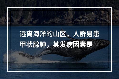 远离海洋的山区，人群易患甲状腺肿，其发病因素是