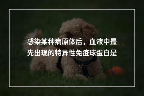 感染某种病原体后，血液中最先出现的特异性免疫球蛋白是