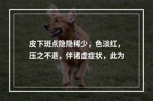 皮下斑点隐隐稀少，色淡红，压之不退，伴诸虚症状，此为