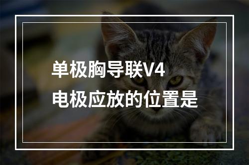 单极胸导联V4 电极应放的位置是