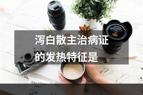 泻白散主治病证的发热特征是