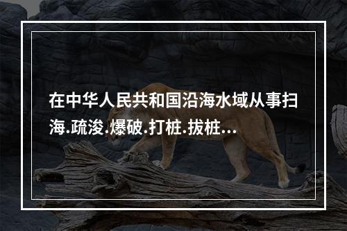 在中华人民共和国沿海水域从事扫海.疏浚.爆破.打桩.拔桩.起