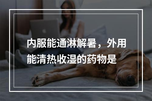 内服能通淋解暑，外用能清热收湿的药物是