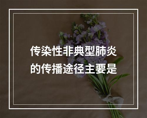 传染性非典型肺炎的传播途径主要是