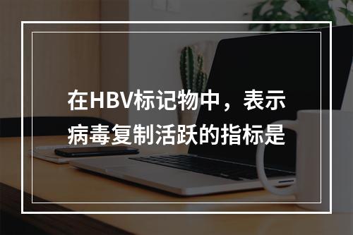 在HBV标记物中，表示病毒复制活跃的指标是