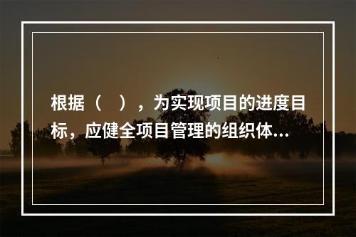 根据（　），为实现项目的进度目标，应健全项目管理的组织体系。