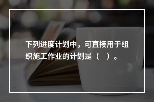 下列进度计划中，可直接用于组织施工作业的计划是（　）。