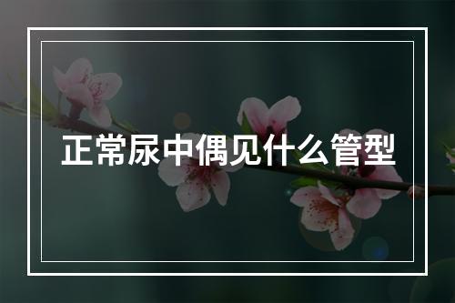 正常尿中偶见什么管型