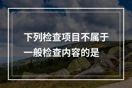 下列检查项目不属于一般检查内容的是