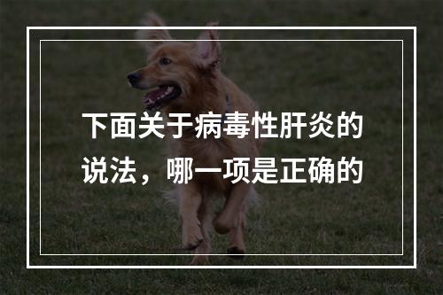 下面关于病毒性肝炎的说法，哪一项是正确的