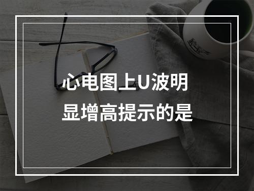 心电图上U波明显增高提示的是