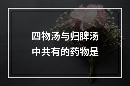 四物汤与归脾汤中共有的药物是