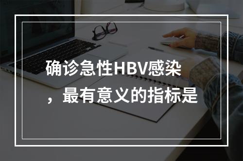 确诊急性HBV感染，最有意义的指标是