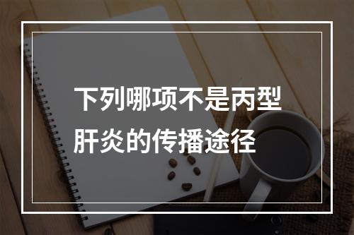 下列哪项不是丙型肝炎的传播途径