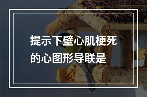 提示下壁心肌梗死的心图形导联是