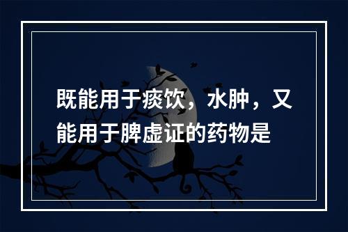 既能用于痰饮，水肿，又能用于脾虚证的药物是