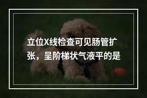 立位X线检查可见肠管扩张，呈阶梯状气液平的是