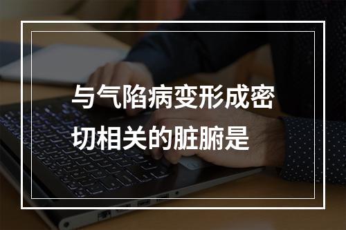 与气陷病变形成密切相关的脏腑是